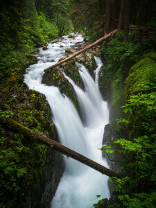 trees fallen over a stream and waterfall with green moss on the rocks in olympic national park in Port Angeles, Washington