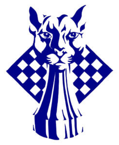 blue panther llc logo