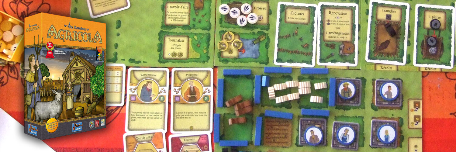 agricola board game box on top of game boards and worker meeple